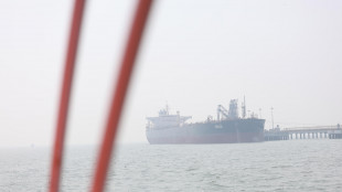 Nave attraversa Hormuz dichiarando di avere un 'proprietario francese'