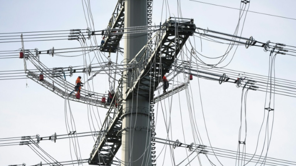 Germany acquires power grid stake from Dutch operator