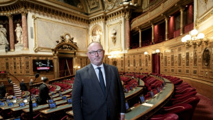 Duplomb revient avec un nouveau texte de loi pro-pesticides