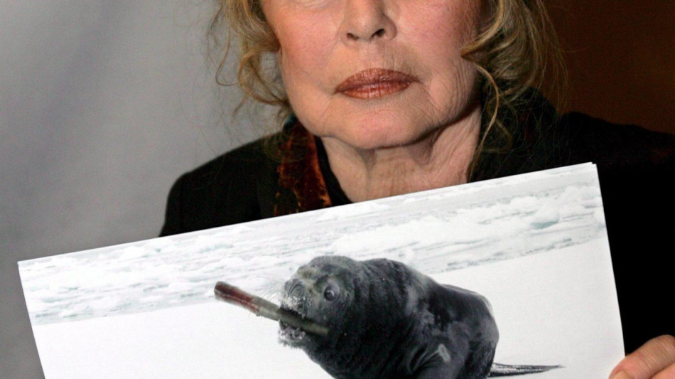 Brigitte Bardot dimessa dalla clinica dopo intervento chirurgico