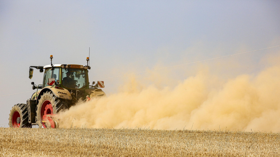 'Generazione Terra', 256 domande da giovani agricoltori per oltre 115 milioni di euro