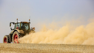 'Generazione Terra', 256 domande da giovani agricoltori per oltre 115 milioni di euro