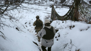 Erdogan tente une m&eacute;diation Ukraine-Russie, en parall&egrave;le d'efforts europ&eacute;ens 