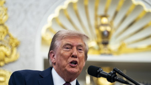 Berlino, Trump potrebbe collegarsi al vertice di Parigi