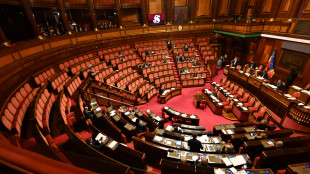 Via libera del Senato al decreto Cultura, &egrave; legge con 80 s&igrave;
