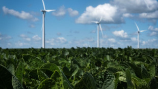Trump will Bau neuer Windräder in den USA unterbinden