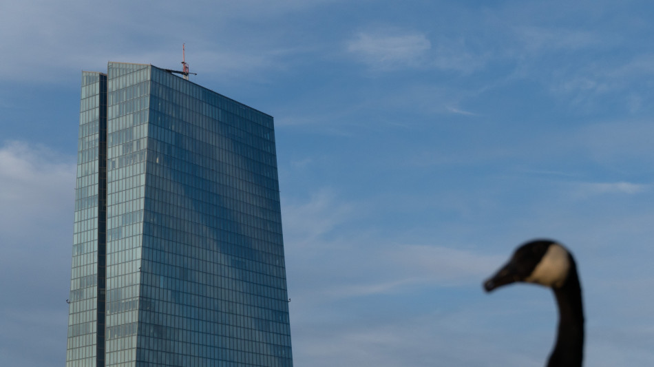 Bce, raddoppia l'uso dell'Ia ma la met&agrave; dei dipendenti &egrave; frenata