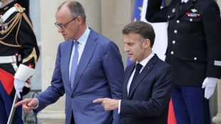 Merz bei Gipfeltreffen der Pro-Ukraine-Koalition in Paris