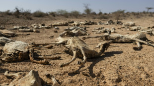 Climat: le pire des sc&eacute;narios &eacute;cart&eacute;, mais le meilleur aussi