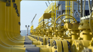 Meno del 2% del gas importato oggi in Italia &egrave; russo