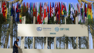 L&iacute;deres mundiales acuden a una cumbre clim&aacute;tica ensombrecida por la guerra en Gaza
