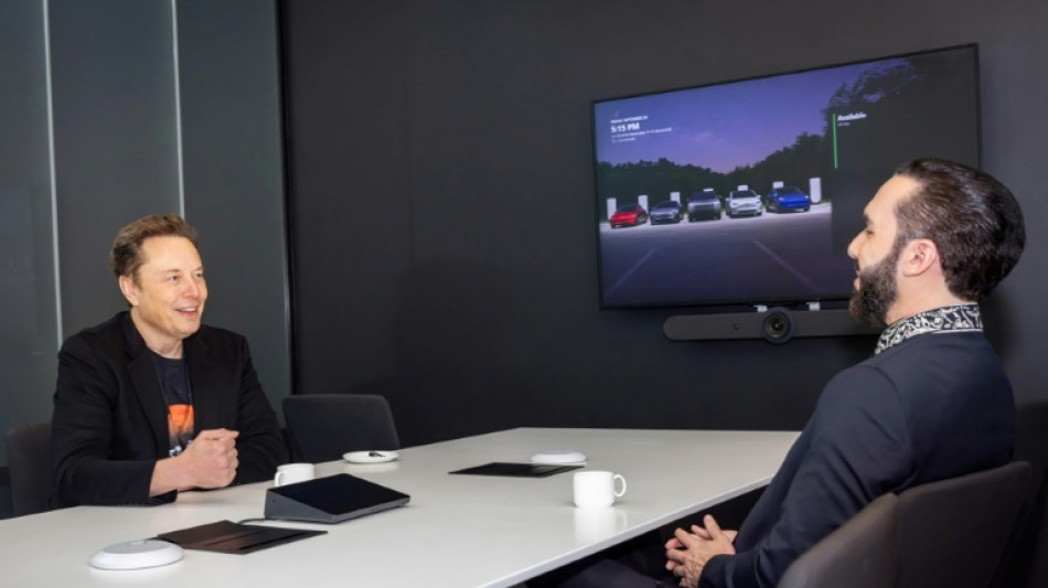 Bukele y Elon Musk comparten halagos tras una reuni&oacute;n sobre tecnolog&iacute;a en EEUU