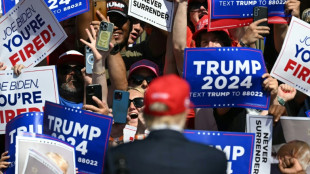&iquest;A qui&eacute;n elegir&aacute; Trump como vicepresidente?