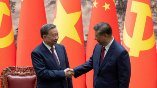 El presidente chino recibe a su hom&oacute;logo vietnamita, To Lam, en Pek&iacute;n