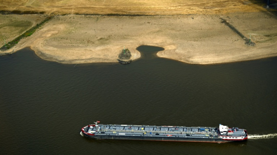 As Europe's rivers recede, shippers scramble to limit damage