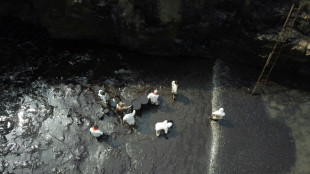 Le P&eacute;rou d&eacute;clare une "urgence environnementale" apr&egrave;s la mar&eacute;e noire sur ses c&ocirc;tes 
