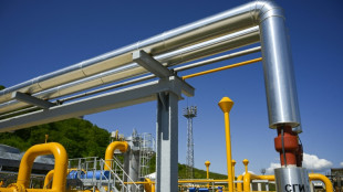 Europ&auml;ische Gasversorger zuversichtlich bei Bezahlung russischen Gases