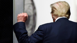 Elu &agrave; la Maison Blanche, Trump veut se d&eacute;barrasser de l'affaire Stormy Daniels