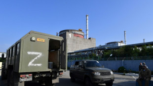 Fin del largo corte de la central nuclear ucraniana de Zaporiyia a la red eléctrica