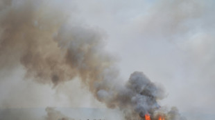 Un incendie d&eacute;vaste 1.000 hectares dans l'H&eacute;rault, dans une France frapp&eacute;e par la s&eacute;cheresse