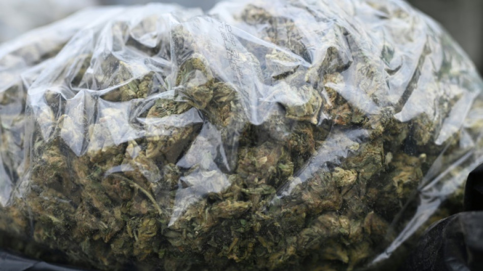 California permitir&aacute; caf&eacute;s dedicados al cannabis, como en Pa&iacute;ses Bajos