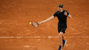 Zverev brushes off Jodar to reach French Open last four
