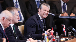 Fonti Nato, 'Hegseth un disco rotto, Europa e Canada stanno crescendo'