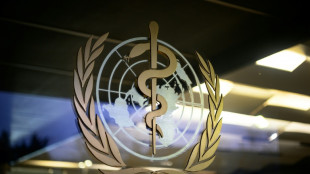 L'OMS ouvre son Assembl&eacute;e annuelle sur fond d'hantavirus et d'Ebola