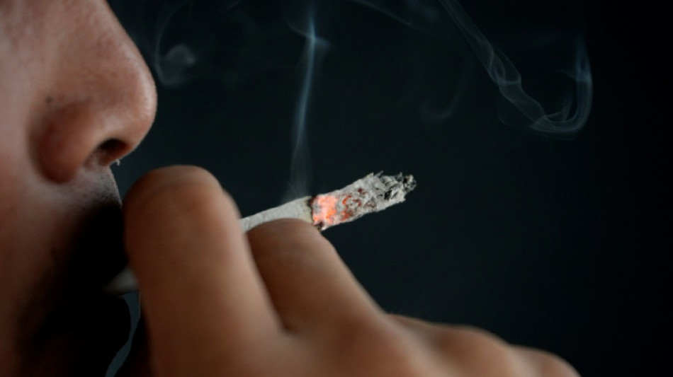 Four out of every 10 cancer cases are preventable: WHO