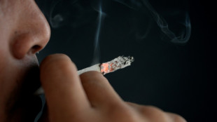 Four out of every 10 cancer cases are preventable: WHO