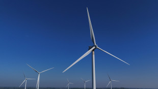Ocse,obiettivo 100 mld per finanziamenti clima superato per il terzo anno