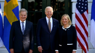 Biden wirbt f&uuml;r Aufnahme Finnlands und Schwedens in die Nato