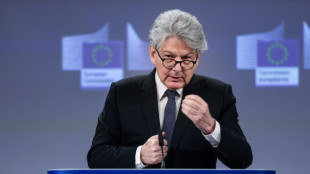 Falschinformationen zu Nahost: EU k&uuml;ndigt Verfahren gegen Tiktok und Meta an