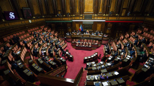 Il Senato approva il ddl per i reati contro gli animali