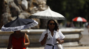 Bimbi di 2 e 4 anni morti in auto per l'ondata di caldo in Francia