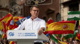 La oposici&oacute;n contra el plan de amnist&iacute;a a los independentistas catalanes se recrudece en Espa&ntilde;a
