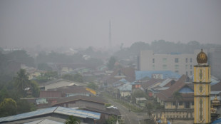 Ravag&eacute;e par le feu, l'&icirc;le de Born&eacute;o attend la pluie