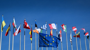 Versch&auml;rfte EU-Asylregeln: Abgeordnete kritisieren geplantes Paket