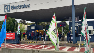Electrolux taglia 1.719 posti, a Forl&igrave; -338 lavoratori, a Susegana -310