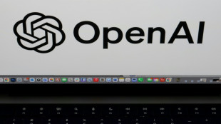OpenAI to launch new model after US freeze