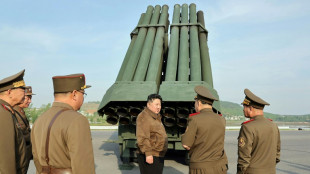 Corea del Norte desplegar&aacute; nuevos sistemas de lanzacohetes m&uacute;ltiples