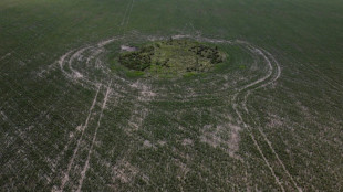 Argentine: dans la pampa ass&eacute;ch&eacute;e, d'am&egrave;res moissons d'avril