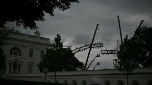 Trump builds giant stage at White House for birthday cage fight
