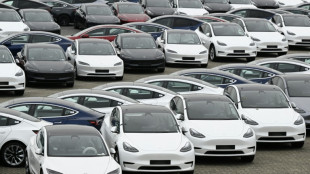 Zweiter Gewinnr&uuml;ckgang bei Tesla in Folge