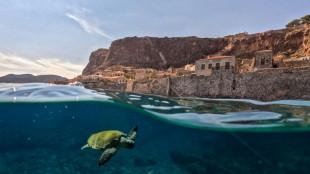 World leaders urged to 'course correct' as UN nature goals fall short
