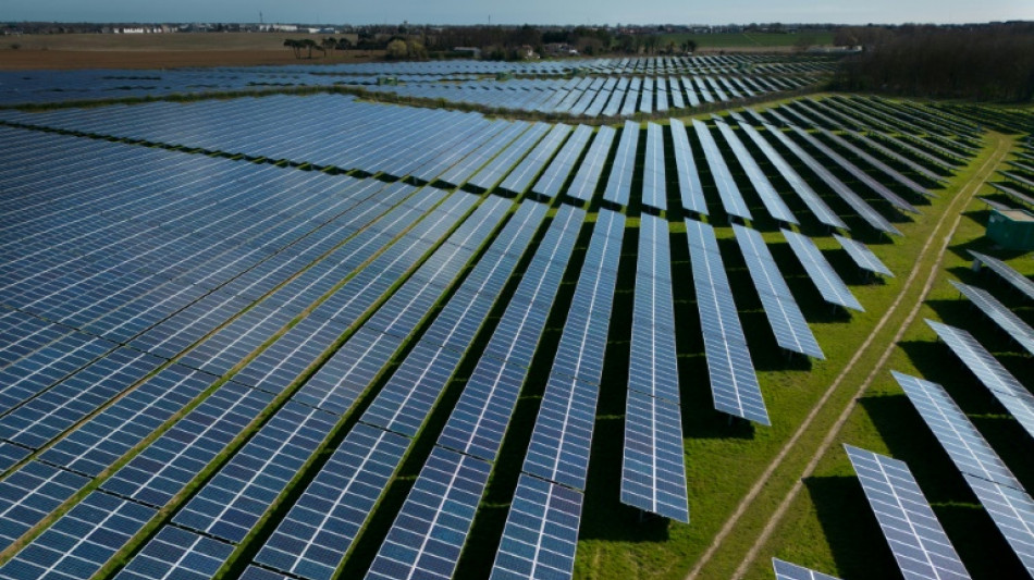 F&ouml;rderung f&uuml;r erneuerbare Energien d&uuml;rfte 2024 neuen H&ouml;chstwert erreichen