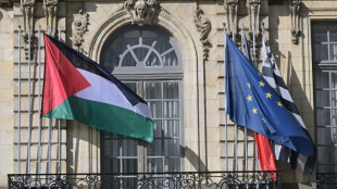 Prefeituras ignoram o governo da França e hasteiam bandeira palestina