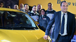 Stellantis joins race to build mini-EVs for Europe