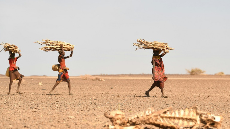 Somalie: un million de personnes d&eacute;plac&eacute;es par la s&eacute;cheresse