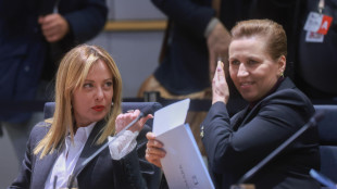 Meloni e 18 leader Ue, 'attuare norme su rimpatri, inclusi gli hub'